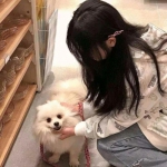 末日前线qq微信版本下载